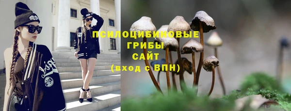 ПСИЛОЦИБИНОВЫЕ ГРИБЫ Армянск