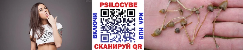 купить  сайты  Уржум  Псилоцибиновые грибы мухоморы 